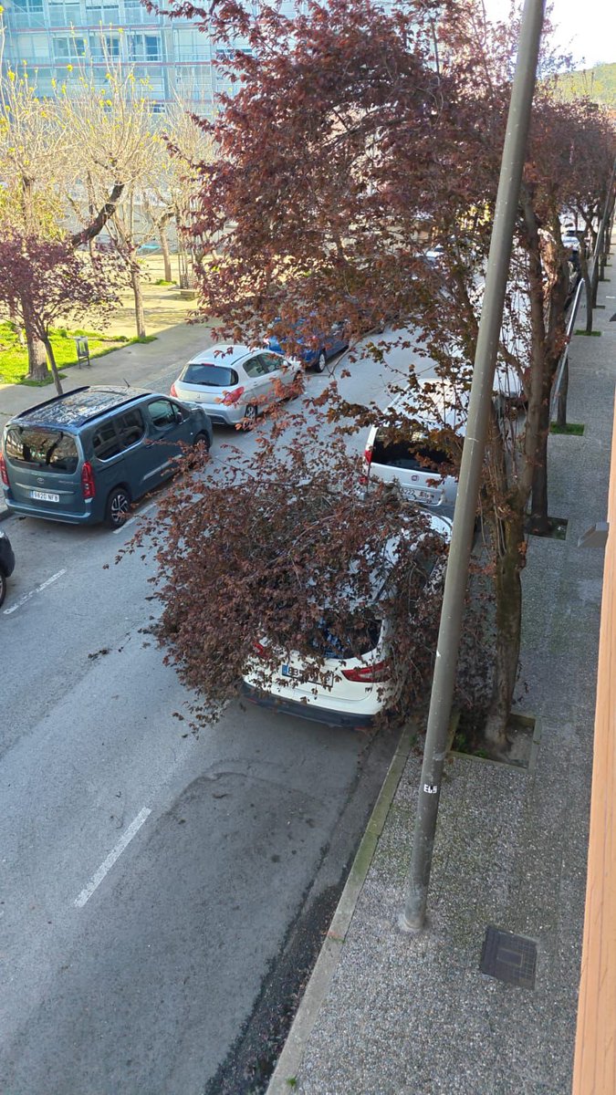 Pere Albertí🎗 tweet media