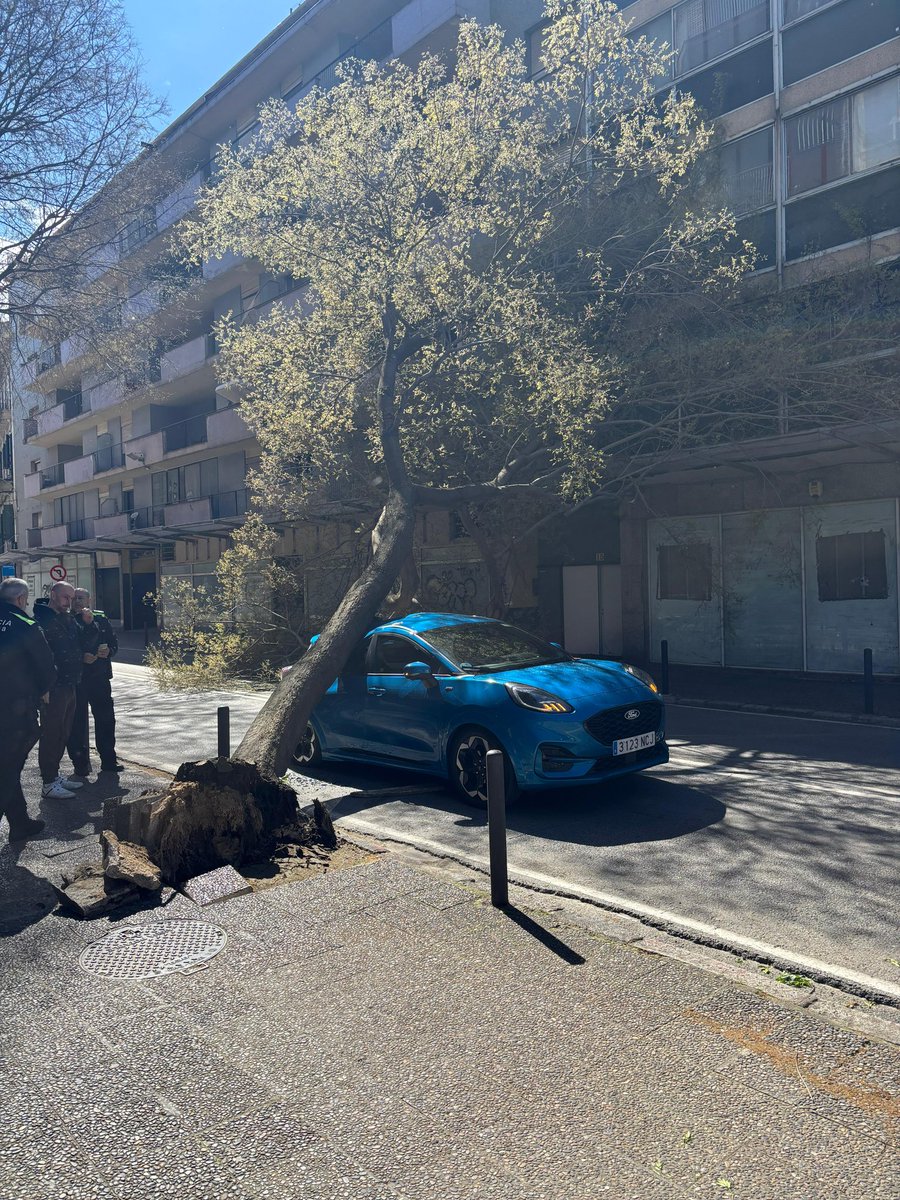 Pere Albertí🎗 tweet media