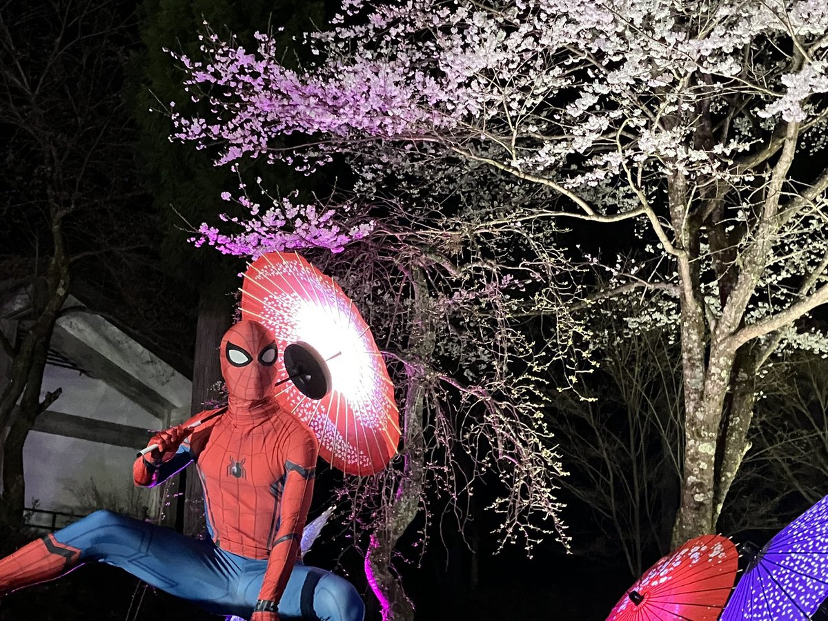 昨年はお世話になりました。
今年もお邪魔させて頂きます。
#コスプレ桜祭26