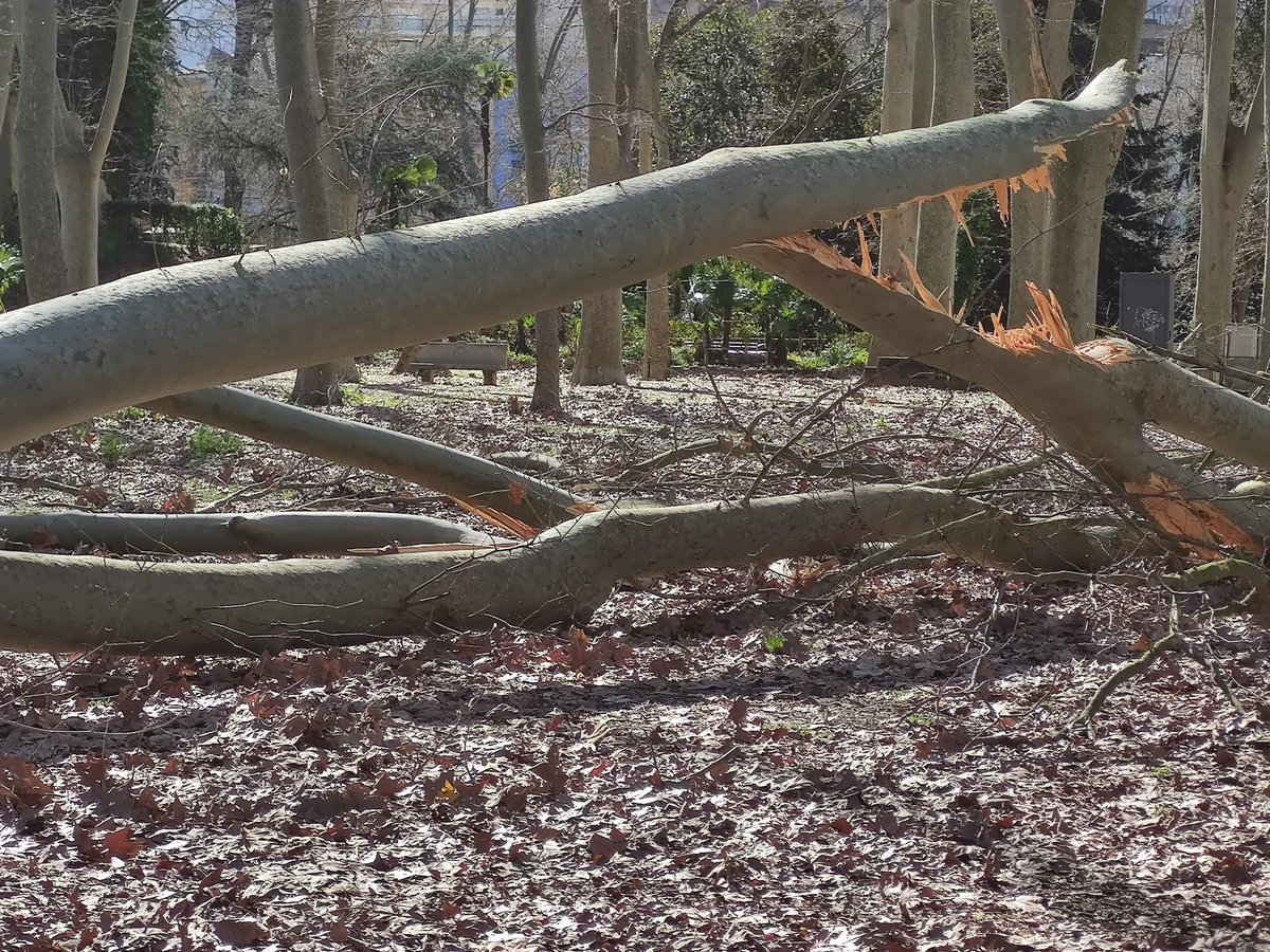 Pere Albertí🎗 tweet media