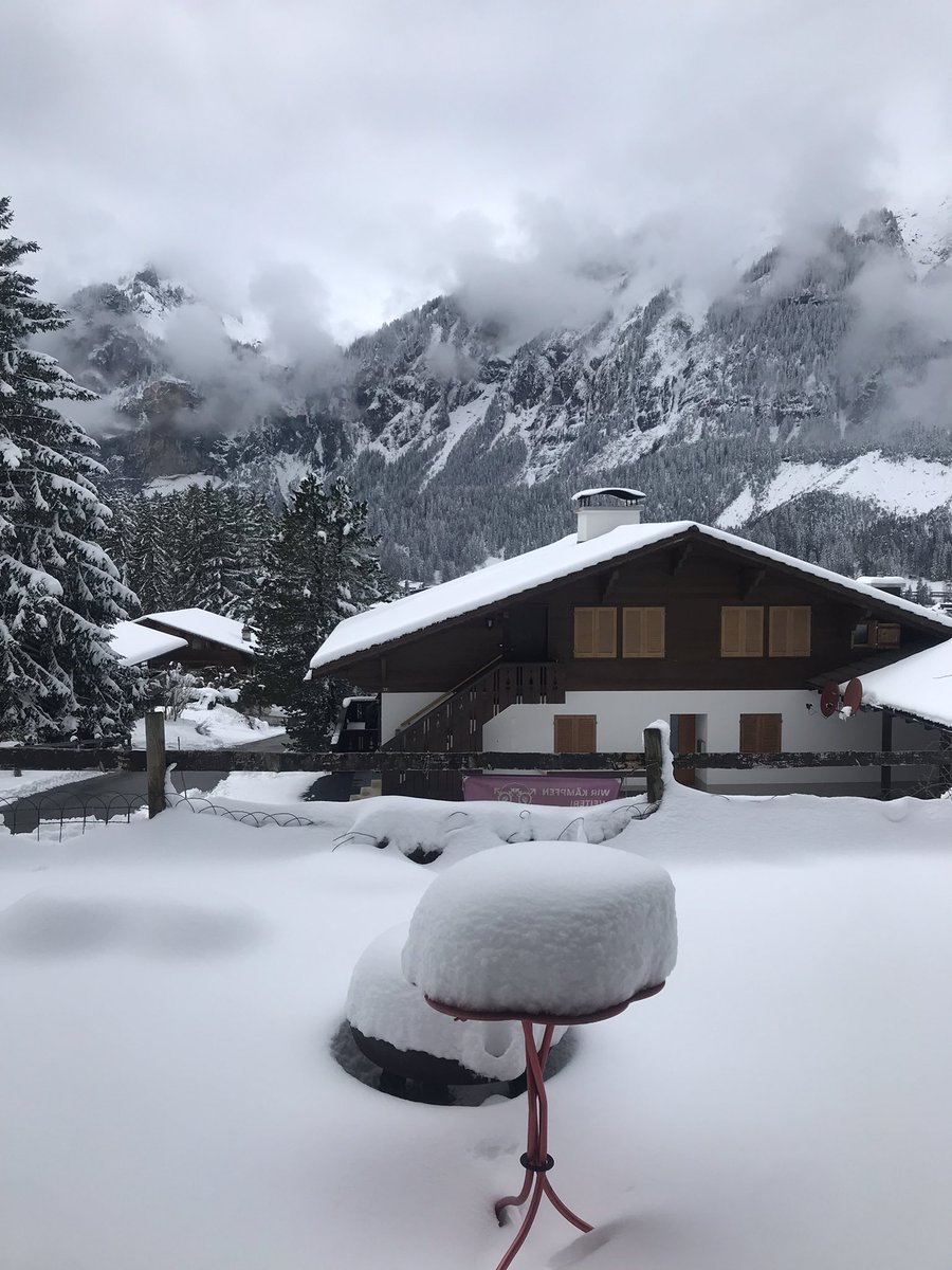 Boubble ☮️ 🪸 ❌❌ 33.3% 🦎 tweet media