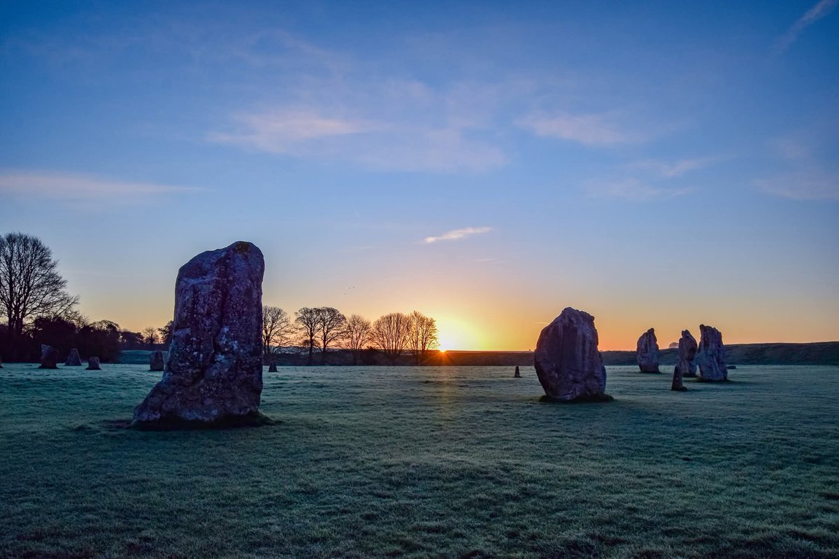 Dr Peach's Stone Temple Gardening. tweet media