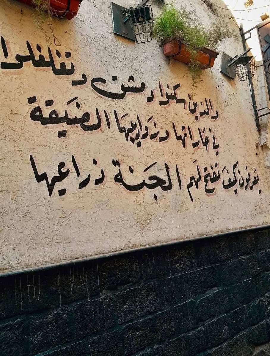 moh092mmad's tweet photo. دمشق هي دمشق بني أمية
دمشق معاوية بن أبي سفيان .
دمشق شيخ الإسلام ابن تيمية
دمشق ابن قيم الجوزية .
 دمشق الإمام الذهبي
دمشق ابن قدامة المقدسي.
دمشق ابن رجب الحنبلي
دمشق ابن كثير
دمشق الحافظ النووي.
دمشق صلاح الدين الأيوبي https://t.co/HTF0YVA2SJ