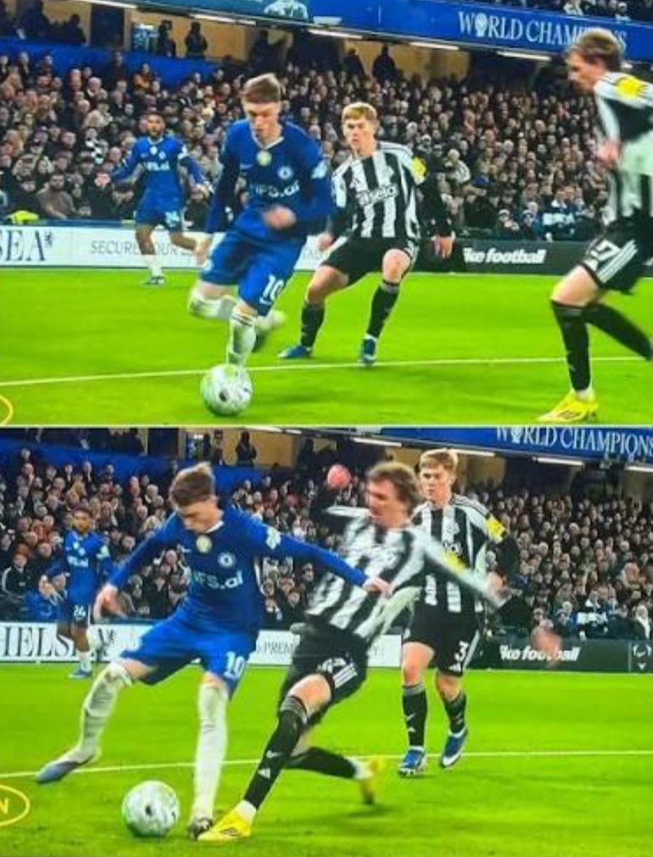 Magpie 24/7 tweet media