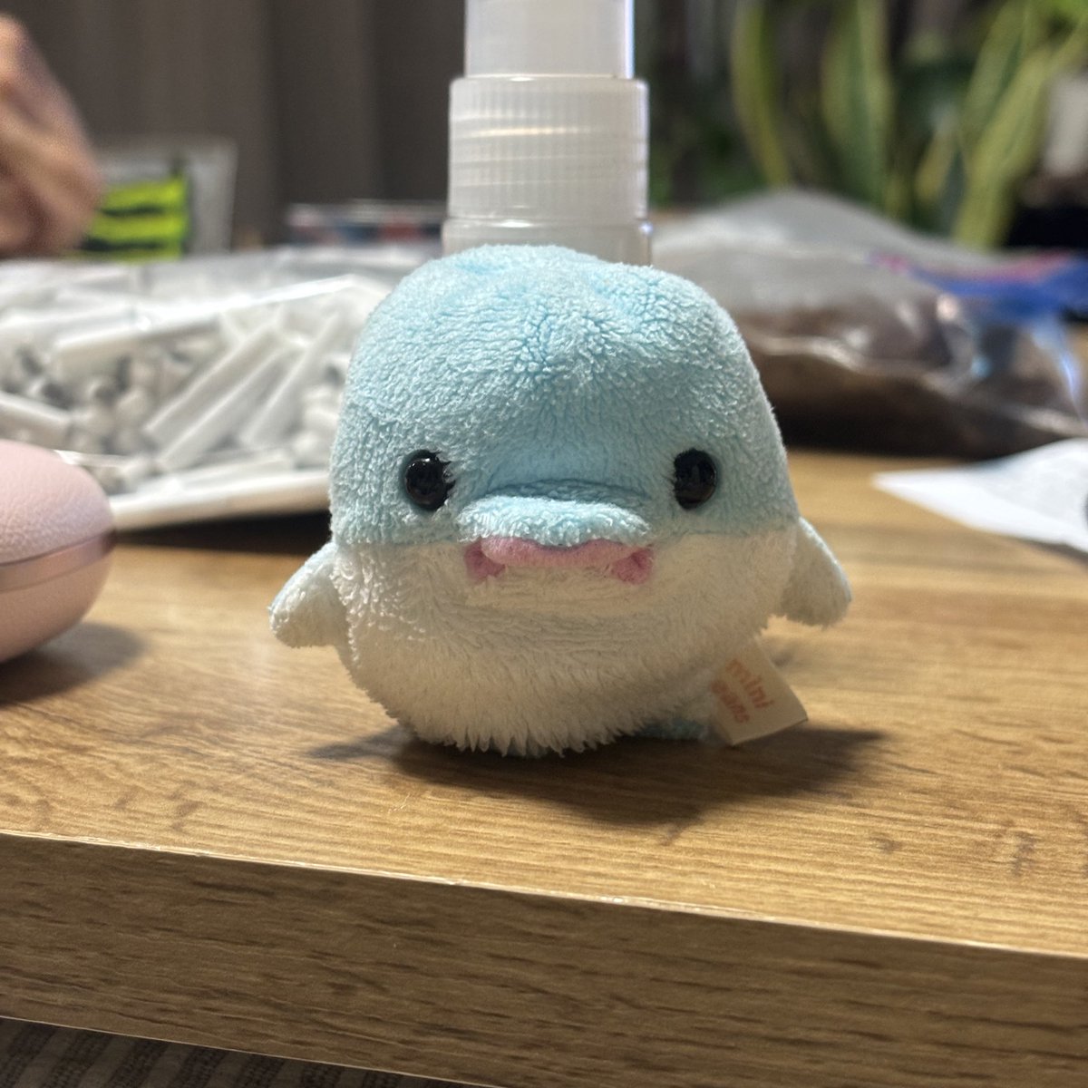 YouTube見てたら視線を感じると思って見上げたら怒ってた