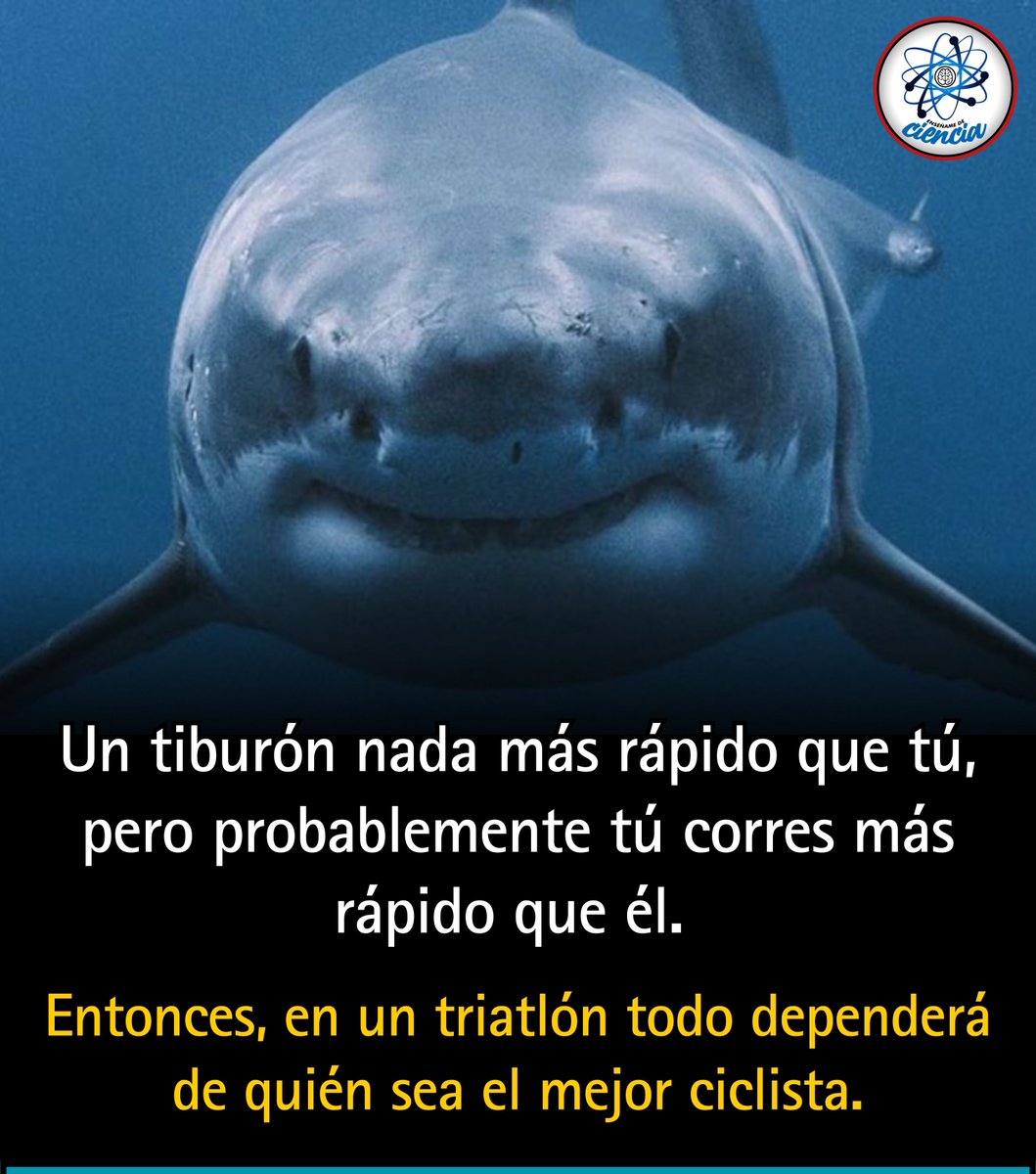 Enséñame de Ciencia tweet media