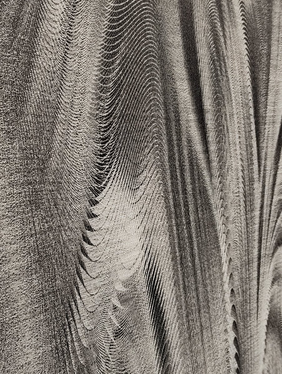 Keisuke Nagami | HATRA tweet media