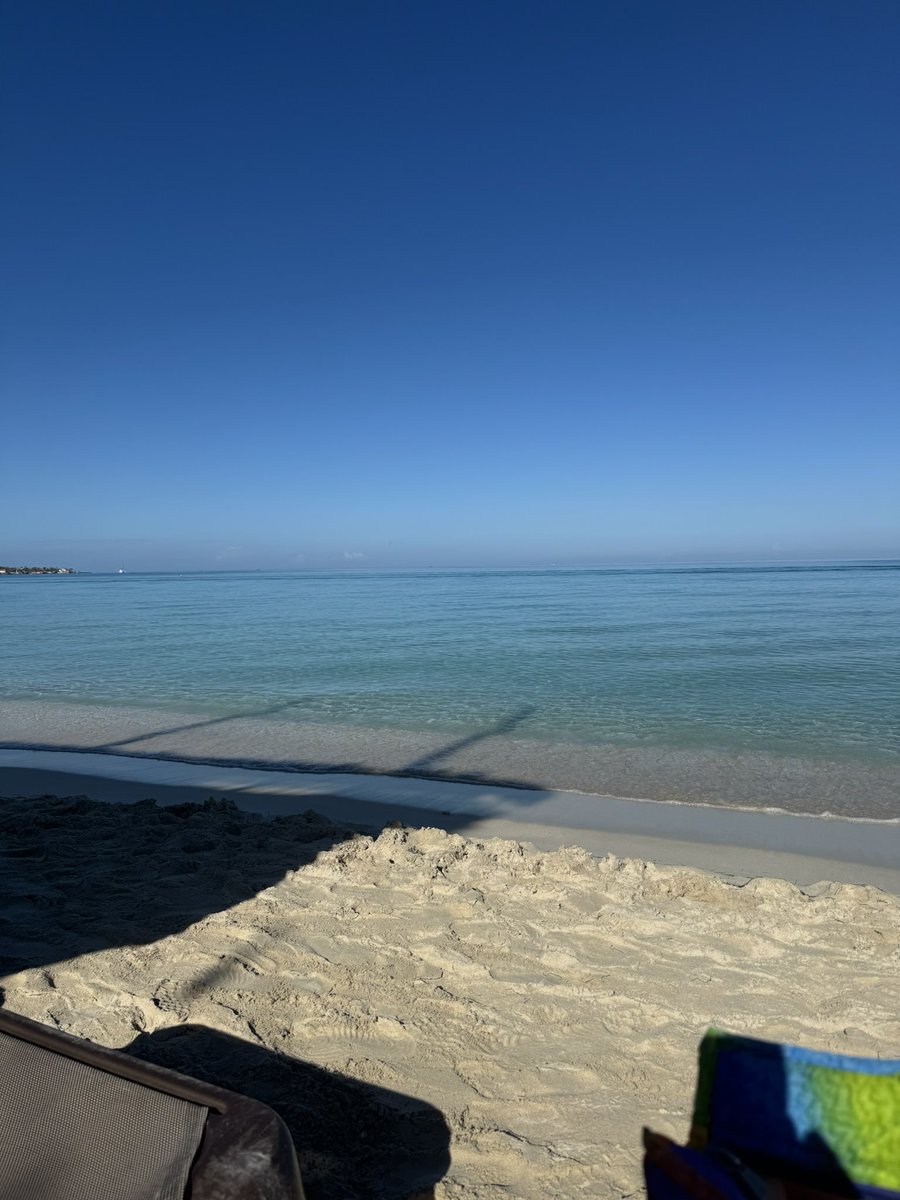 Marni Cramer 🇨🇦 tweet media