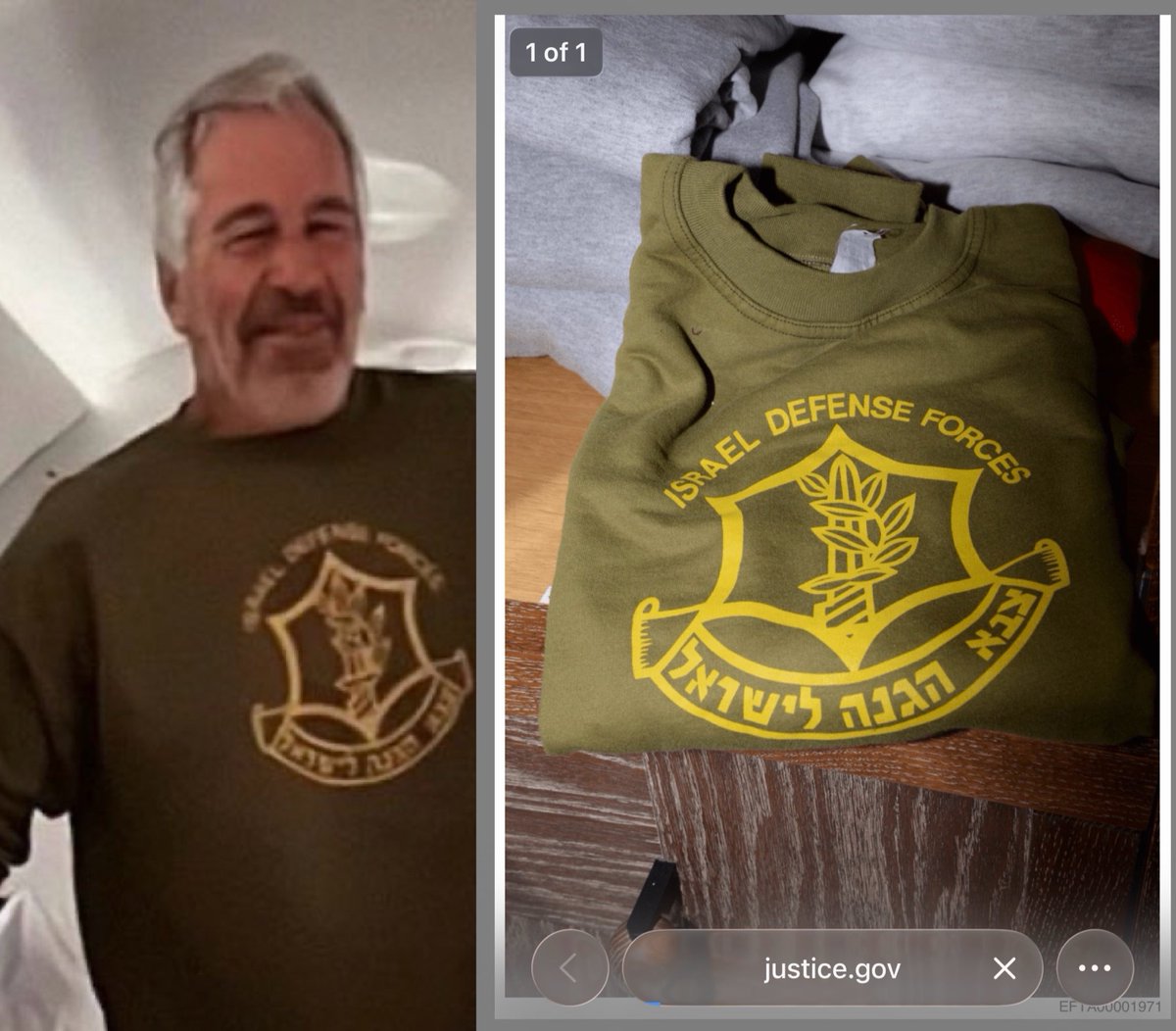 Arquivo Epstein tweet media