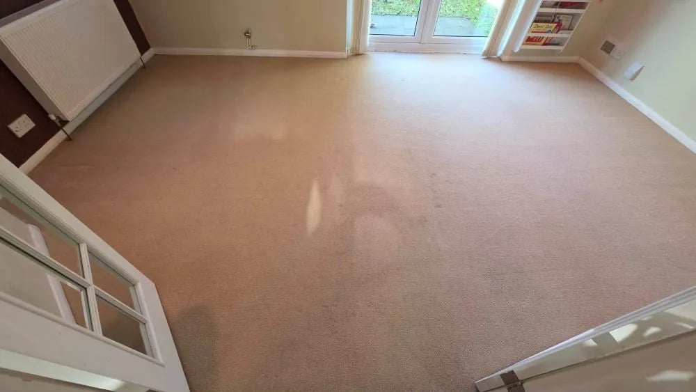 elycleaning's tweet photo. Refresh, Don’t Replace! 
​Thinking about a new carpet for your #Ely home? Stop! We recently saved an Ely living room from a costly replacement.
​■ Coffee stains lifted
■ Pet hair removed
■ Fibres restored
​See the full Before &amp; After:
https://t.co/VEPX9HfbdT
​#CarpetCleaning https://t.co/Ydv93piLyT