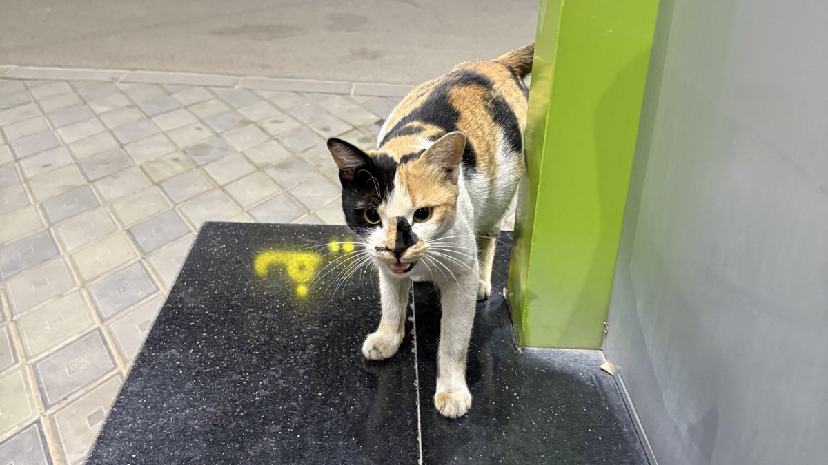 Á̷͔̕ͅ tweet media