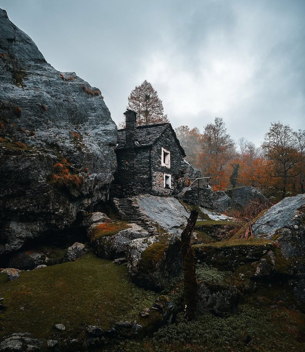 David Freeman tweet media