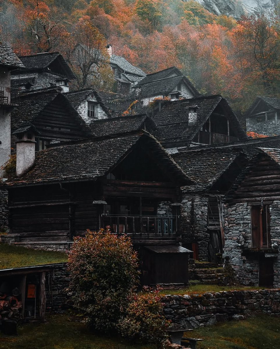 David Freeman tweet media