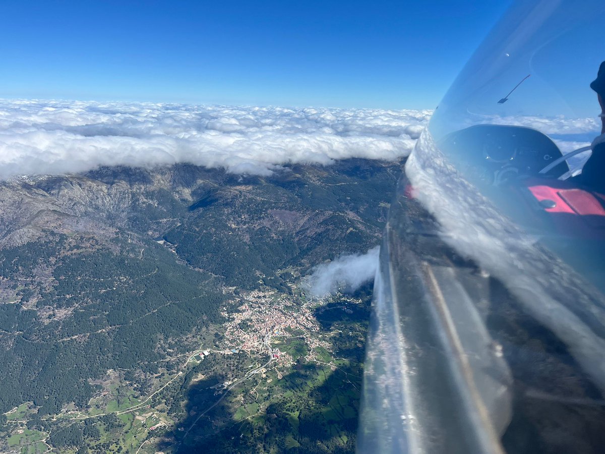 Discus 2cT tweet media