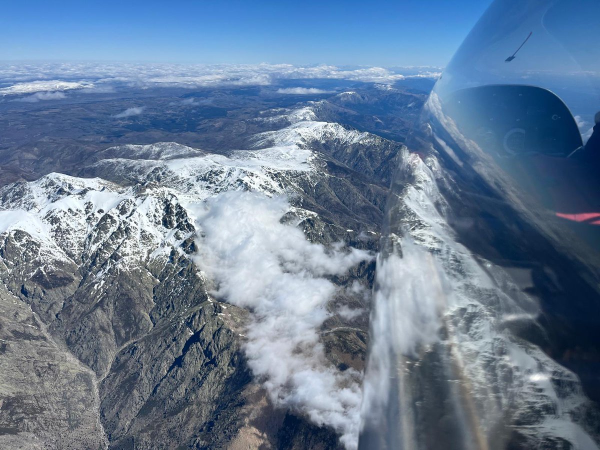 Discus 2cT tweet media