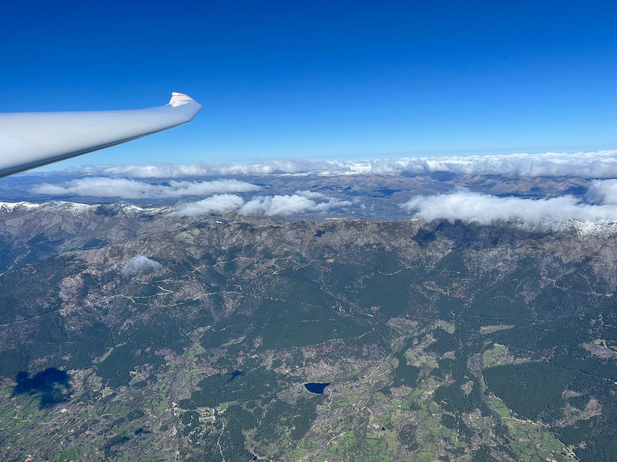 Discus 2cT tweet media