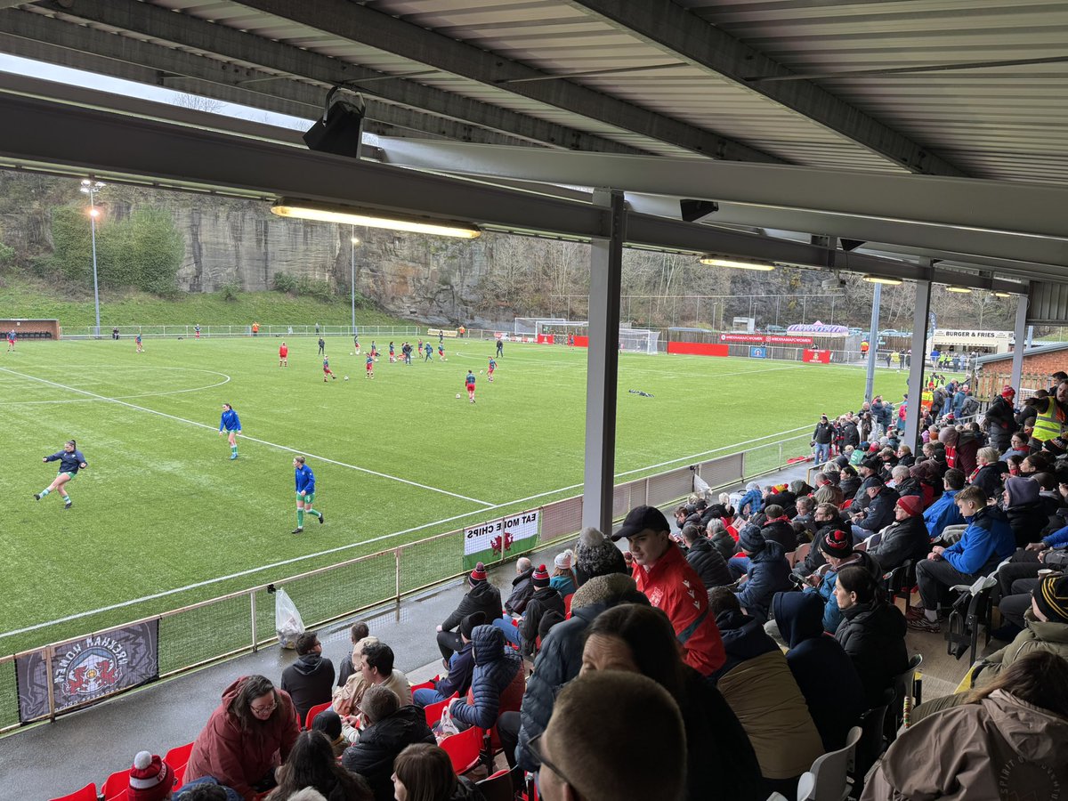 Dale Webb tweet media