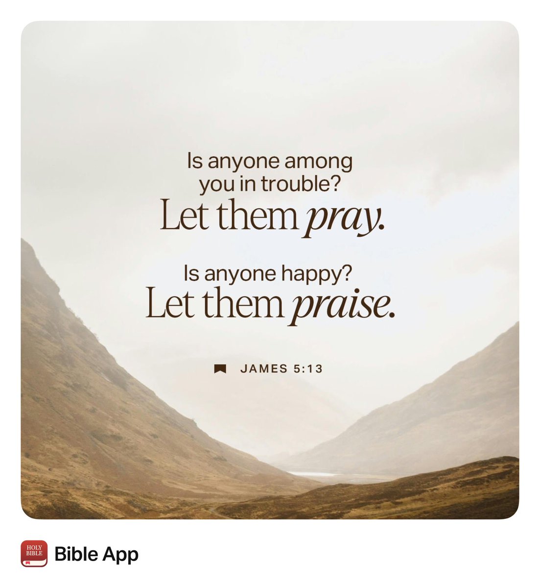 Joe Hampton tweet media