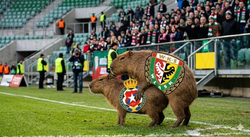 Piotr 🇵🇱🇮🇹⚽️ tweet media