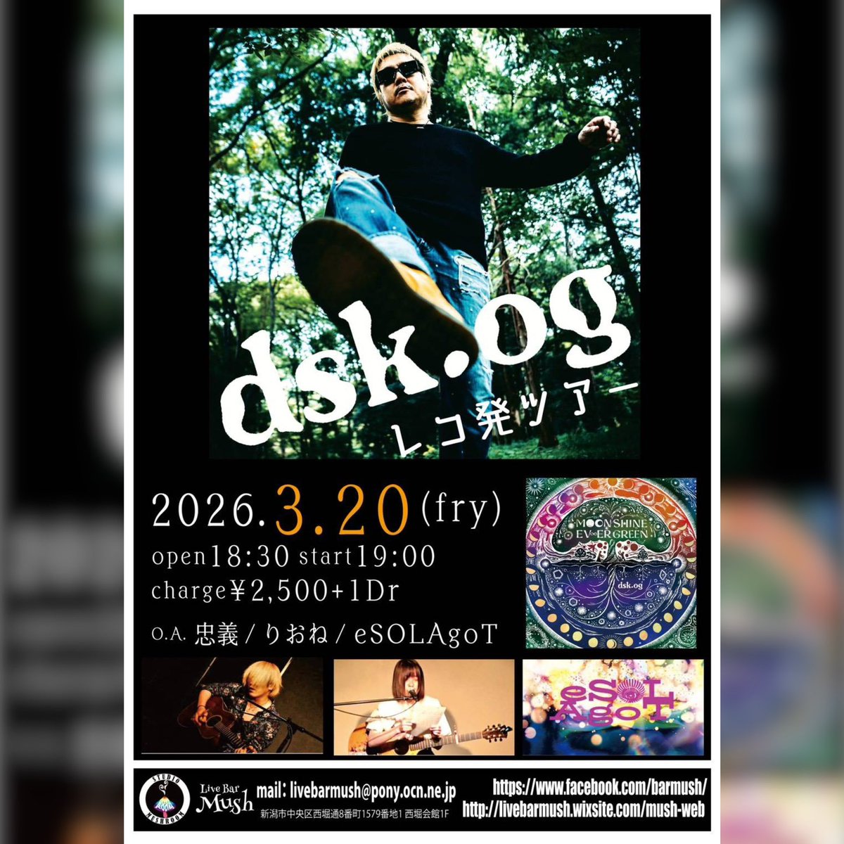 こーだい tweet media