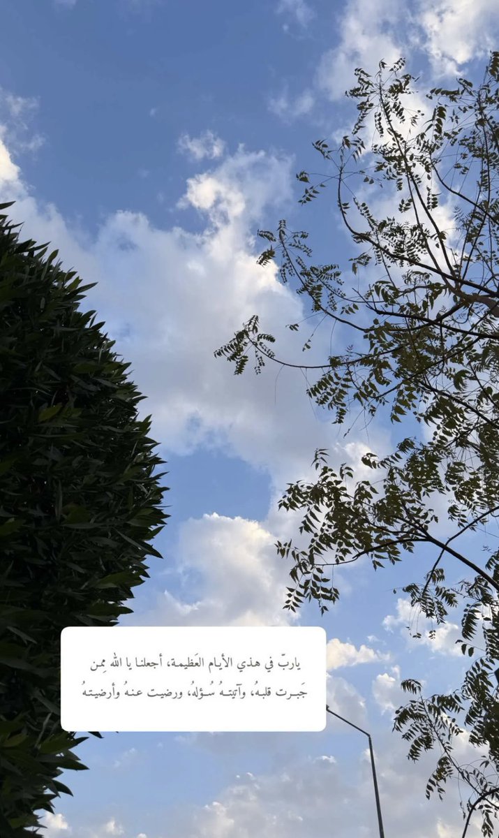 "اللهم إنك عفو تحب العفو فاعف عنا " 

#مساء_الخير 
#ليالي_القدرِ 
#العشر_الاواخر