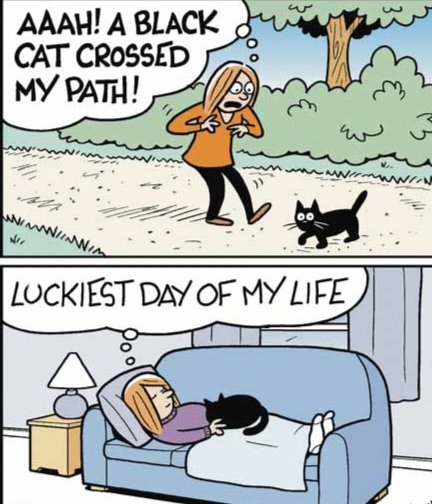 We don't deserve cats 😺 (@catsareblessing) on Twitter photo 