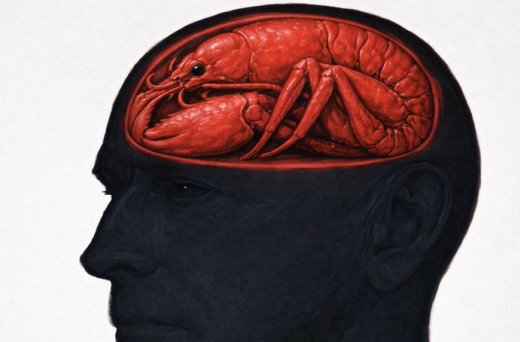 Teleclaw tweet media