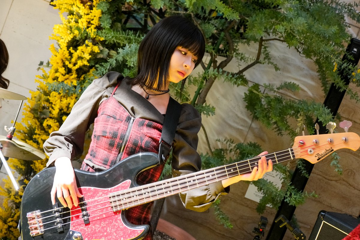 pikaichi_sbd's tweet photo. 2026.3.14 MIMOSA FESTA 2026 
📍ラチッタデッラ 壁画前

初NULLI鑑賞🎸
アイドルとは一味違うカッコよさが堪らない😆
ウルトラソウルのシャウト楽しかった🔥

#ミモザフェスタ2026 #NULLI https://t.co/nAffJ6CEnP