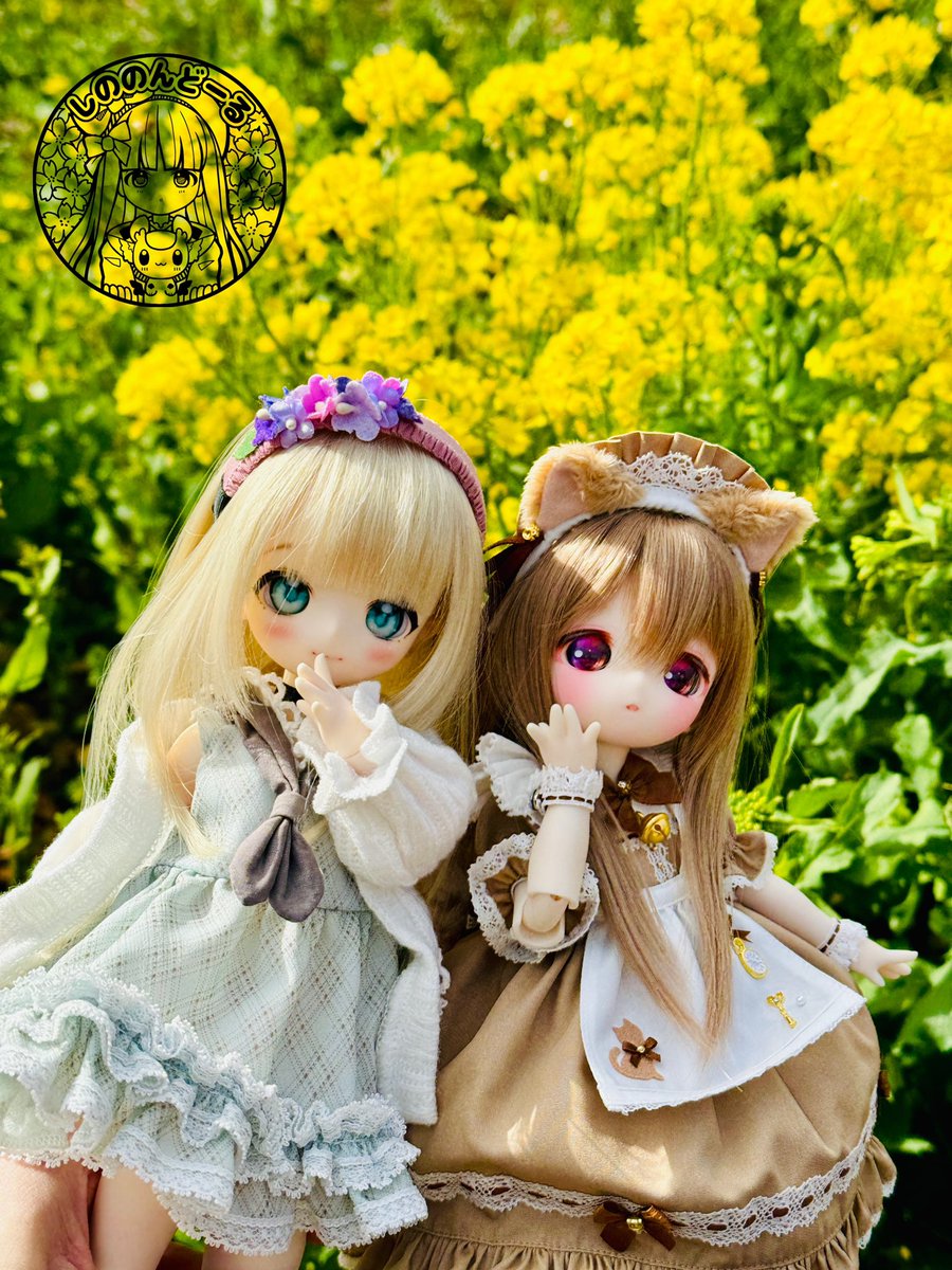 しののんどーる tweet media