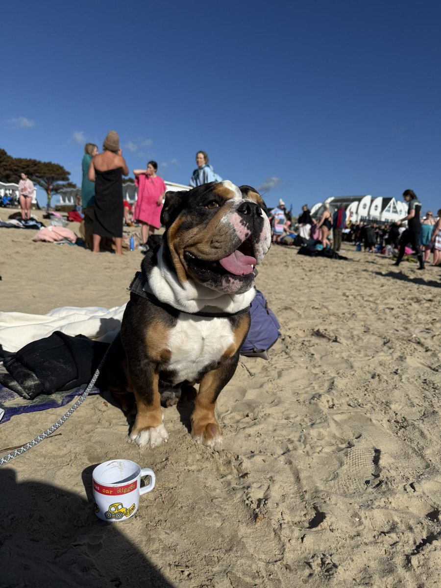 Jessica Toale MP tweet media