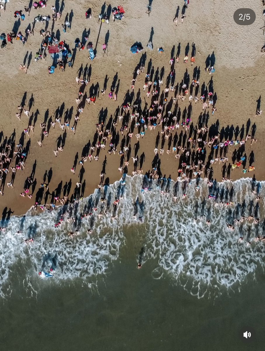 Jessica Toale MP tweet media