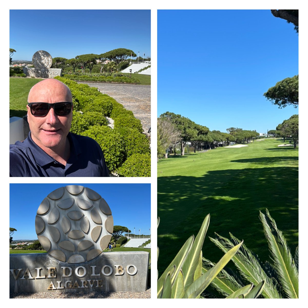 PAUL REES tweet media