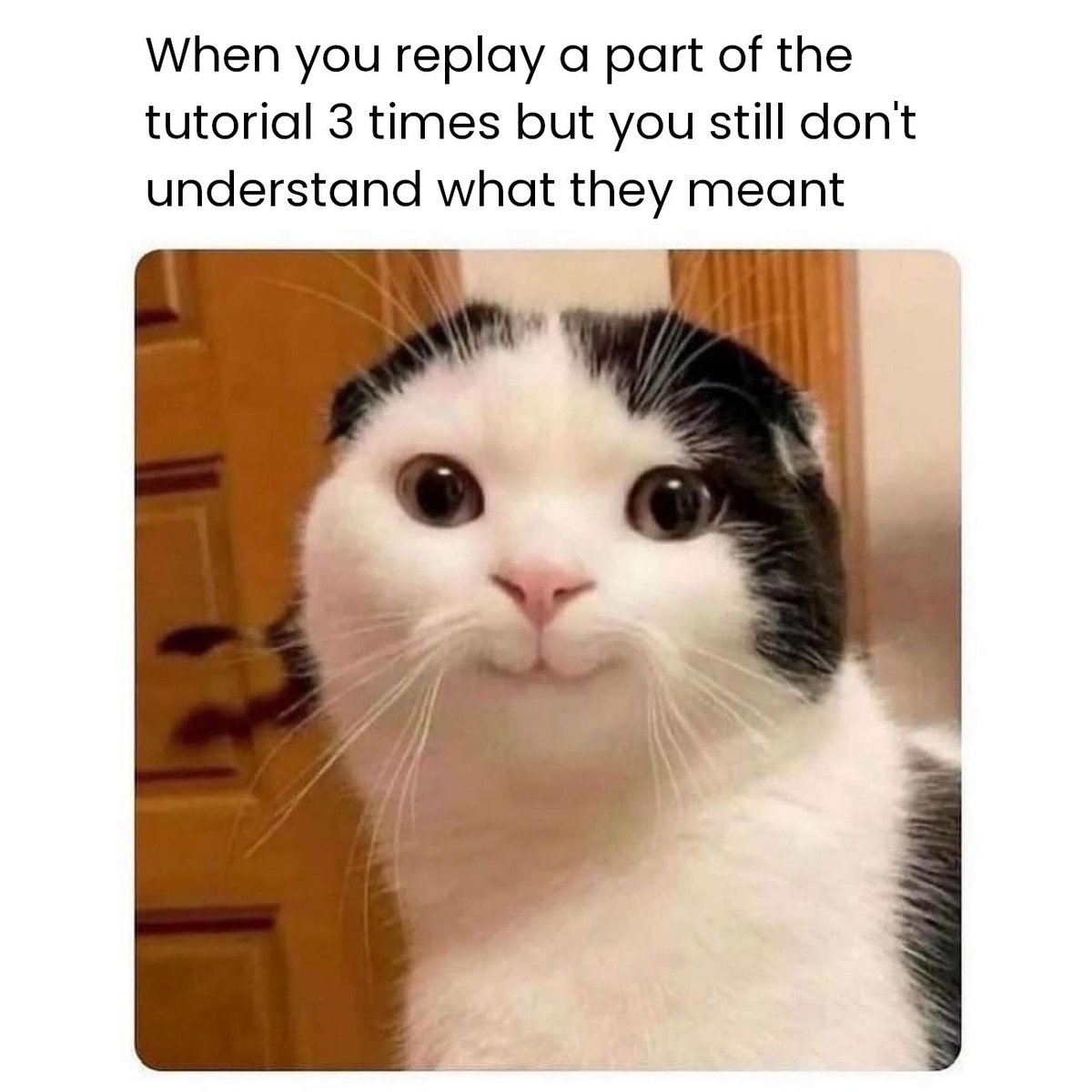 Meme.blend tweet media