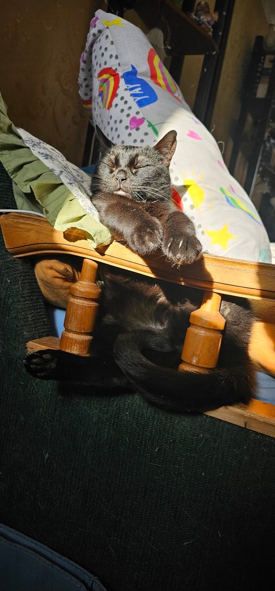 Така собі Мігель tweet media