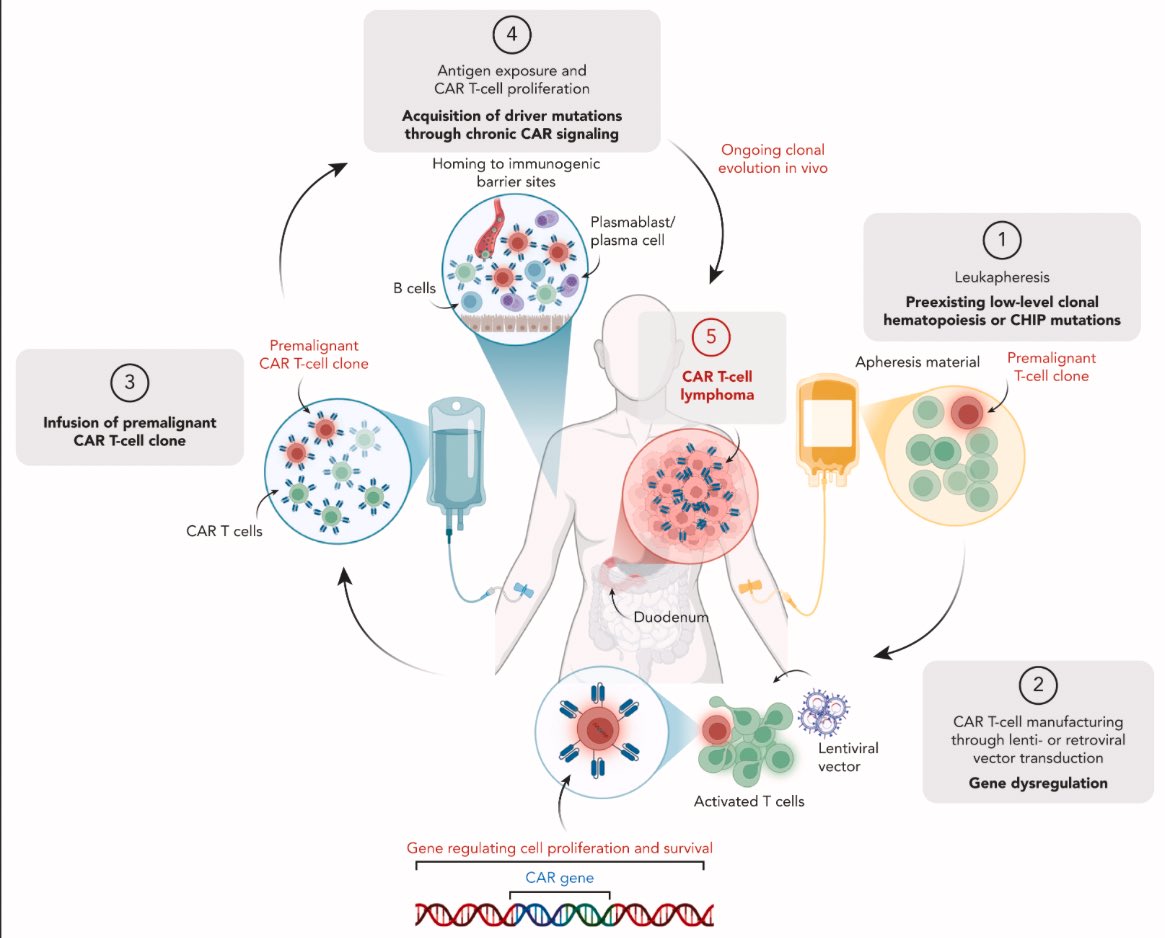 Rahul Banerjee, MD, FACP tweet media