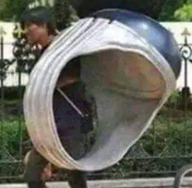 Prof behan tweet media