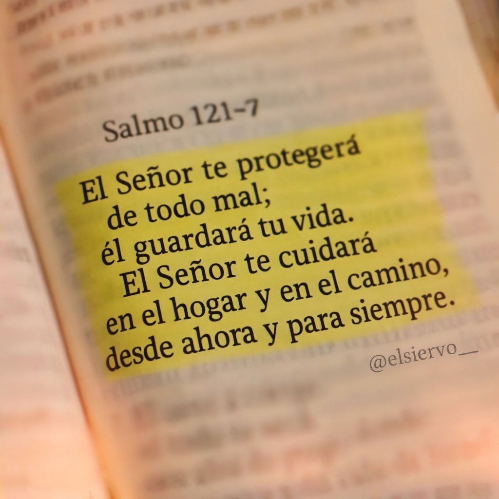 elsiervo__'s tweet photo. https://t.co/cRzxOvb8k5