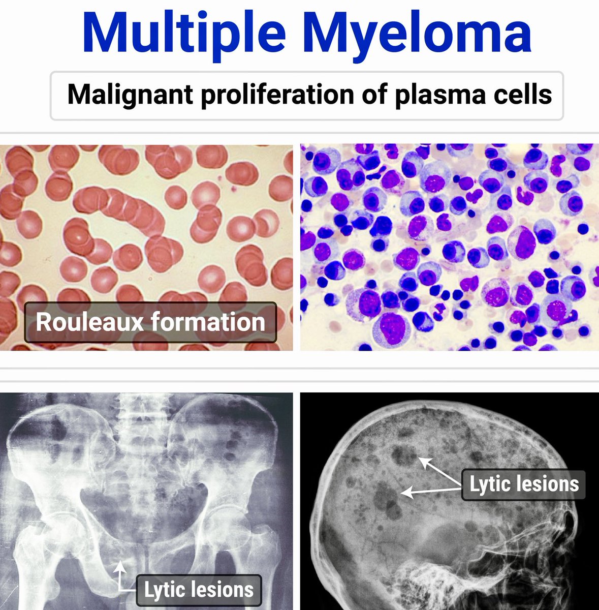 StudyXing Medicine tweet media
