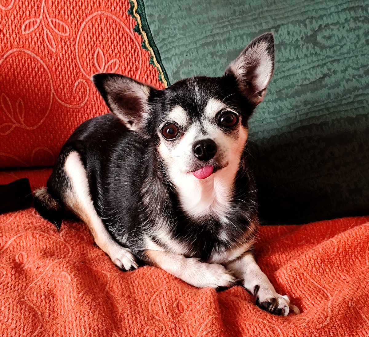 rori📖 cr: saving 6 tweet media