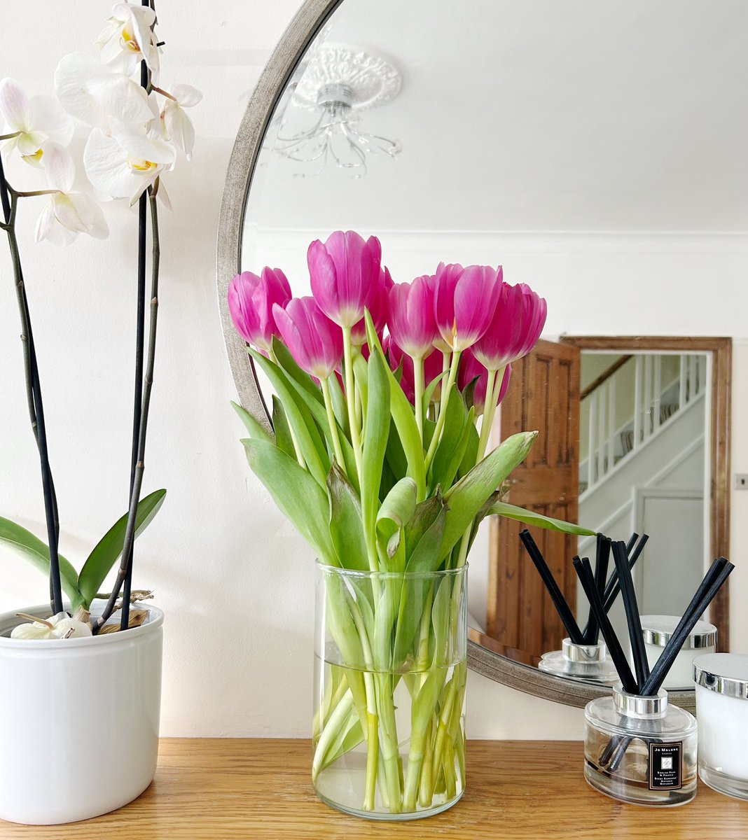 lorelei marfil day tweet media