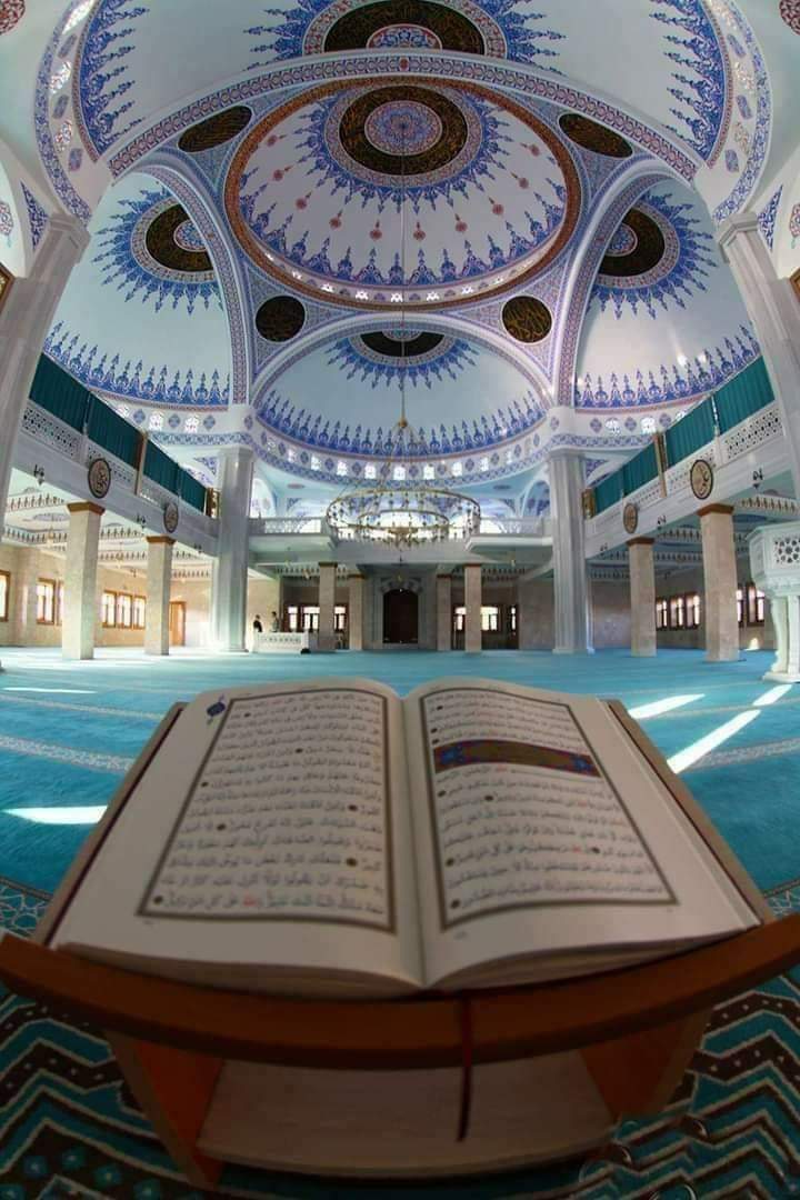 🕊️𝘒𝘢𝘴𝘩𝘪𝘴𝘩🕊️ tweet media