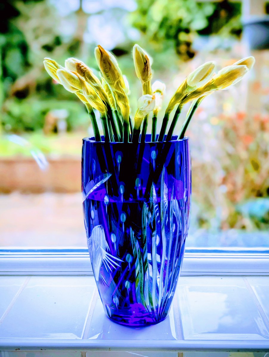 Morris Bright MBE tweet media