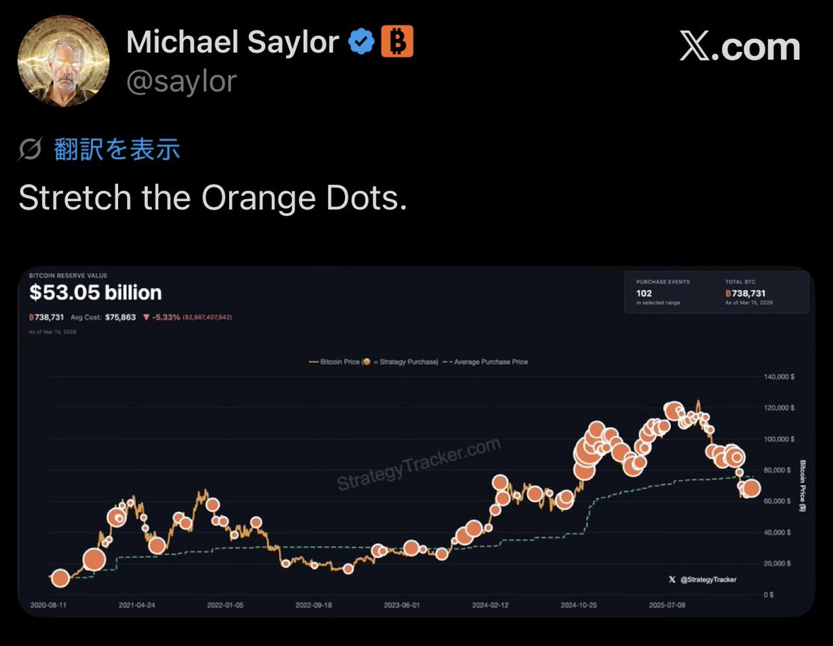 Mr.₿itcoin tweet media
