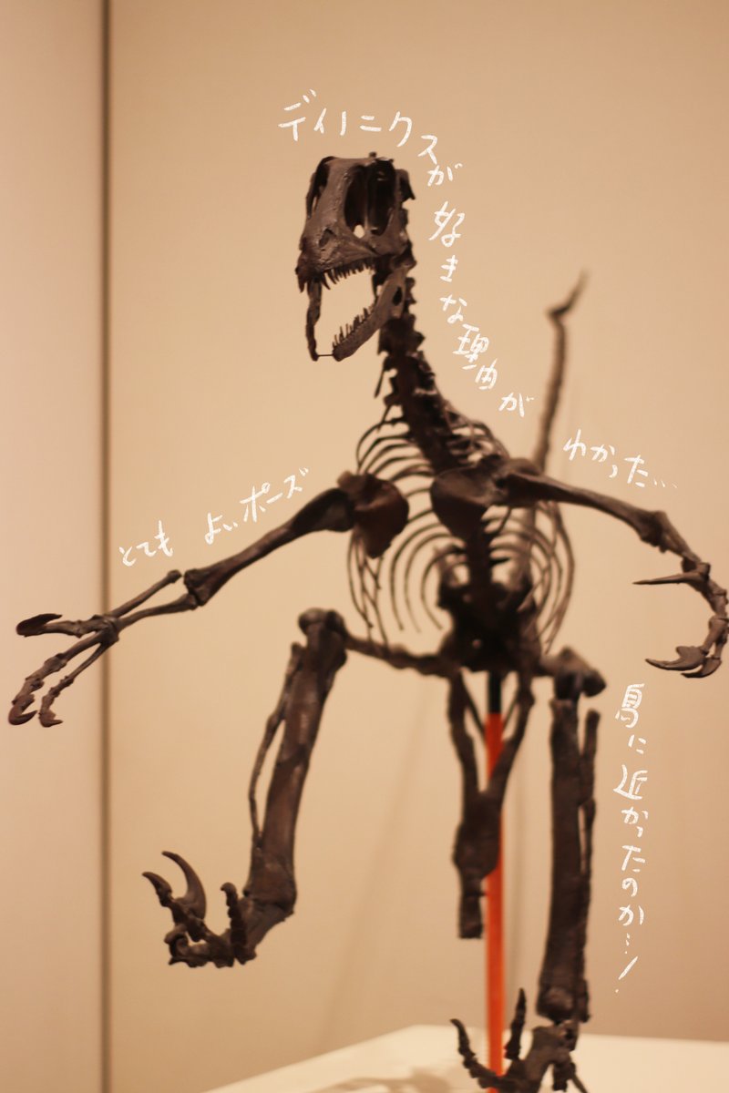 永田 鵄 tweet media