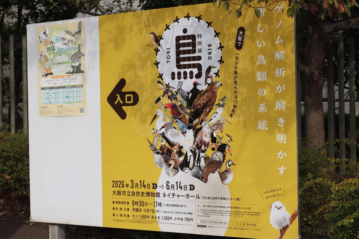 永田 鵄 tweet media