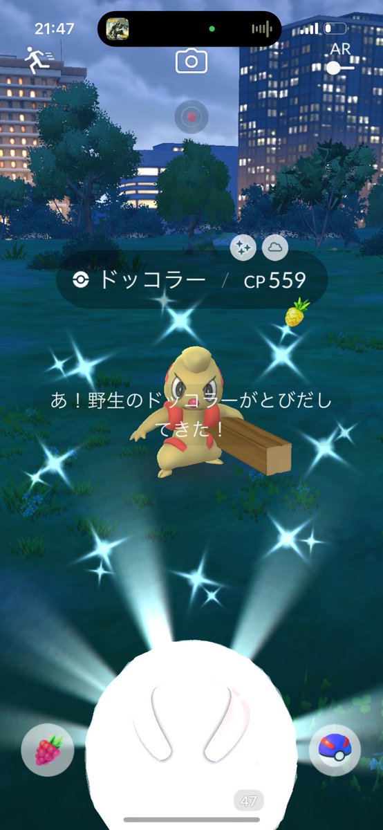 virizion111's tweet photo. 今日はドッコラーが光りました✨✨
プラプラくんは100％モグリューと色違いジグザグマ✨負けてます😂笑

#ポケモンGO #PokémonGO
#shinytimburr https://t.co/2QDWo738x8