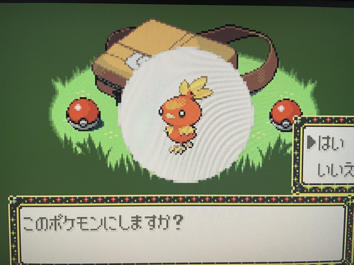 つりぃ🌲 tweet media