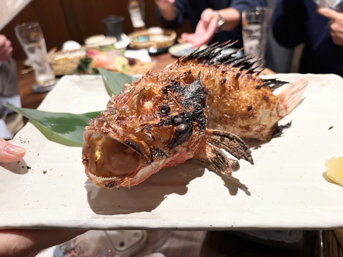 JqckLo's tweet photo. 朝からみんなで海行って海鮮🦞食べて、頭悪いほど飲みました🍺

最高の休日だった

明日月曜なの意味わからん https://t.co/4Y9YlCMZjG
