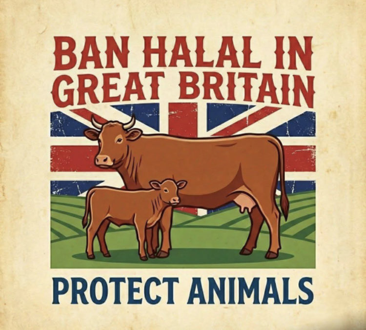 N Ecc 🏴󠁧󠁢󠁥󠁮󠁧󠁿🏴󠁧󠁢󠁥󠁮󠁧󠁿🏴󠁧󠁢󠁥󠁮󠁧󠁿 tweet media