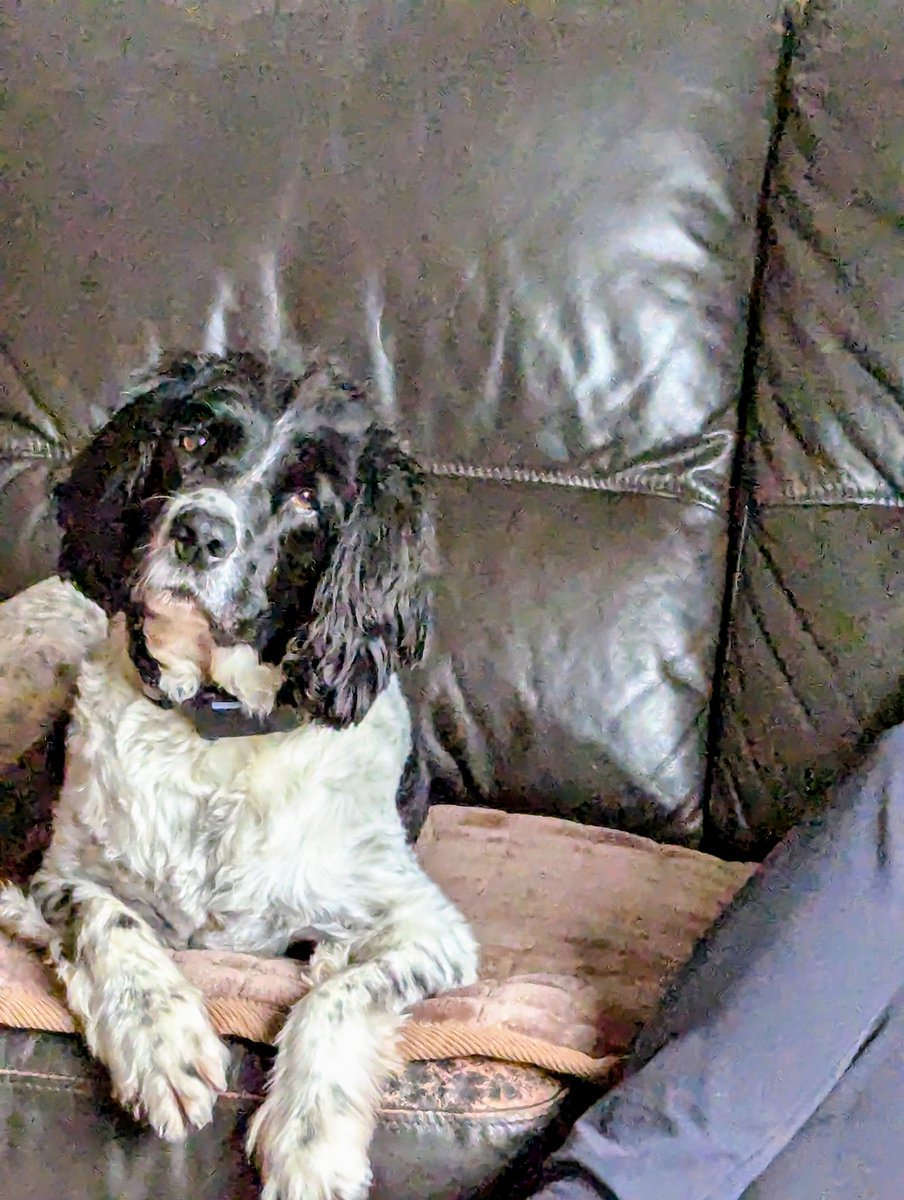 Chris Churchill tweet media